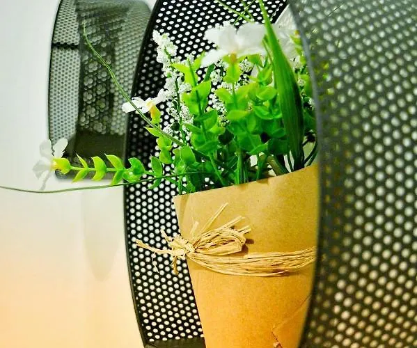 Lua Appartement Bled